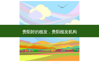 贵阳好的植发，贵阳植发机构