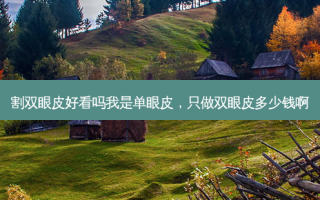 割双眼皮好看吗我是单眼皮，只做双眼皮多少钱啊