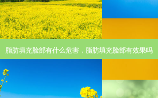 脂肪填充脸部有什么危害，脂肪填充脸部有效果吗