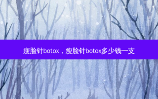 瘦脸针 *** ，瘦脸针 *** 多少钱一支