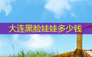 大连黑脸娃娃多少钱