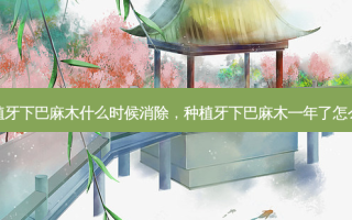 种植牙下巴麻木什么时候消除，种植牙下巴麻木一年了怎么办