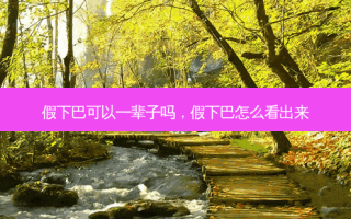 假下巴可以一辈子吗，假下巴怎么看出来