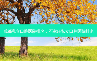 成都私立口腔医院排名，石家庄私立口腔医院排名