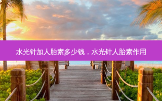 水光针加人胎素多少钱，水光针人胎素作用