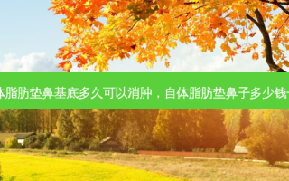 自体脂肪垫鼻基底多久可以消肿，自体脂肪垫鼻子多少钱一次