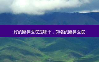 好的隆鼻医院是哪个，知名的隆鼻医院