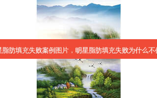 明星脂肪填充失败案例图片，明星脂肪填充失败为什么不修复