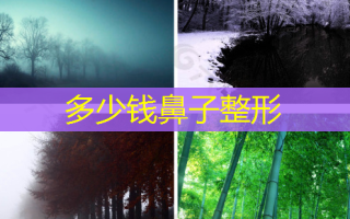 多少钱鼻子整形