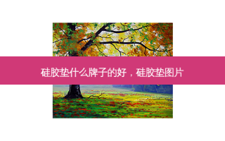 硅胶垫什么牌子的好，硅胶垫图片