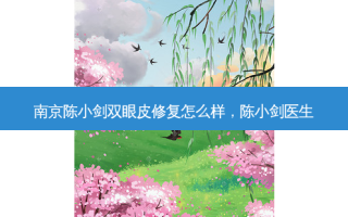 南京陈小剑双眼皮修复怎么样，陈小剑医生