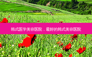 韩式医学美容医院， *** 的韩式美容医院