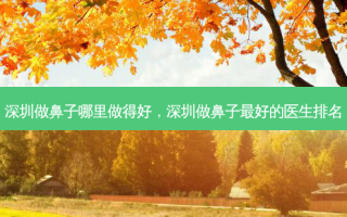 深圳做鼻子哪里做得好，深圳做鼻子好的医生排名