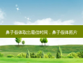 鼻子假体取出 *** 时间，鼻子假体图片