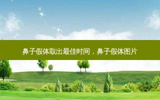鼻子假体取出 *** 时间，鼻子假体图片