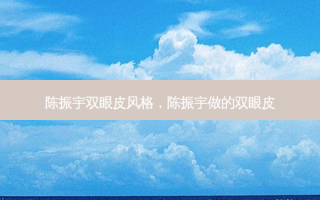 陈振宇双眼皮风格，陈振宇做的双眼皮