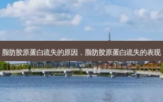脂肪胶原蛋白流失的原因，脂肪胶原蛋白流失的表现