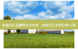 收缩毛孔选哪种水光针好，收缩毛孔水排行榜10强
