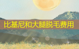 比基尼和大腿脱毛费用