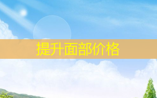提升面部价格