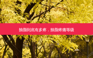 抽脂到底有多疼，抽脂疼痛等级