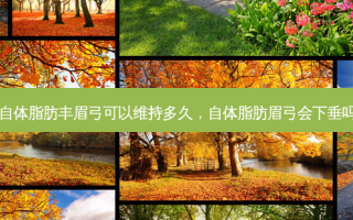 自体脂肪丰眉弓可以维持多久，自体脂肪眉弓会下垂吗