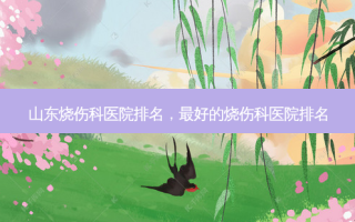 山东烧伤科医院排名， *** 的烧伤科医院排名