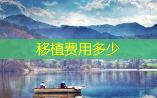 移植费用多少