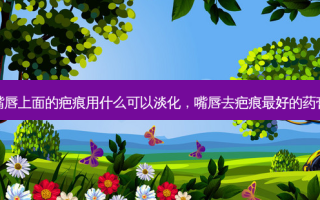 嘴唇上面的疤痕用什么可以淡化，嘴唇去疤痕好的药膏