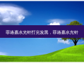 菲洛嘉水光针打完发黑，菲洛嘉水光针