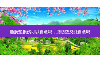 脂肪垫损伤可以自愈吗，脂肪垫炎能自愈吗