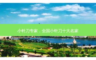 小针刀专家，全国小针刀十大名家