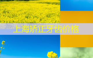 上海矫正牙齿价格