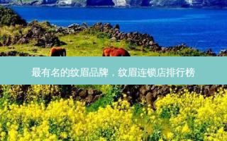 最有名的纹眉品牌，纹眉连锁店排行榜