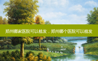 郑州哪家医院可以植发，郑州哪个医院可以植发