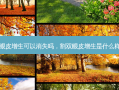割双眼皮增生可以消失吗，割双眼皮增生是什么样子的