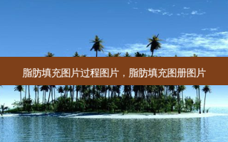 脂肪填充图片过程图片，脂肪填充图册图片