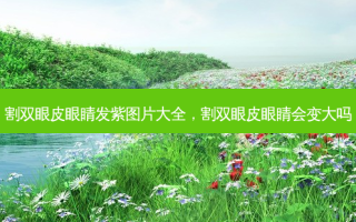 割双眼皮眼睛发紫图片大全，割双眼皮眼睛会变大吗