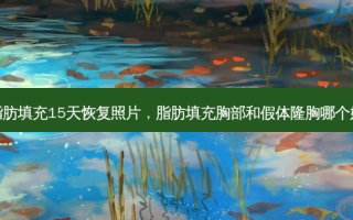 脂肪填充15天恢复照片，脂肪填充胸部和假体隆胸哪个好