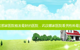 武汉那家医院植发好的医院，武汉哪家医院看男性科厉害
