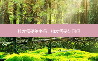 植发需要签字吗，植发需要陪同吗