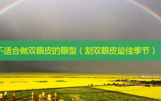不适合做双眼皮的眼型（割双眼皮佳季节）