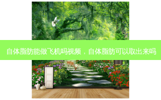 自体脂肪能做飞机吗视频，自体脂肪可以取出来吗