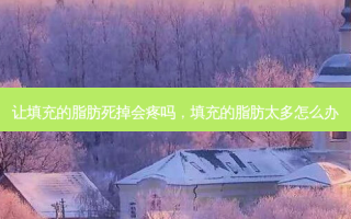 让填充的脂肪死掉会疼吗，填充的脂肪太多怎么办