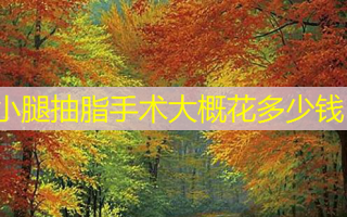 小腿抽脂手术大概花多少钱