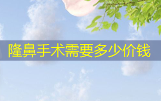隆鼻手术需要多少价钱
