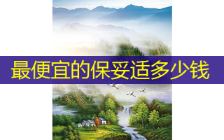 便宜的多少钱