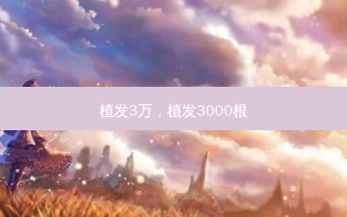植发3万，植发3000根