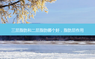 三层脂肪和二层脂肪哪个好，脂肪层作用