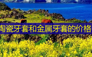 陶瓷牙套和金属牙套的价格